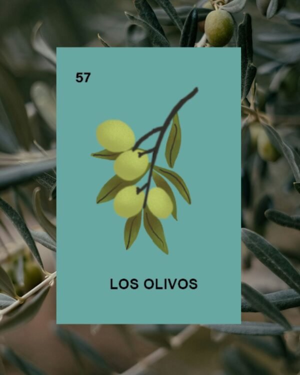 Los Olivos